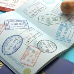 Tradução Oficial é Exigida em Processos de Visto e Imigração