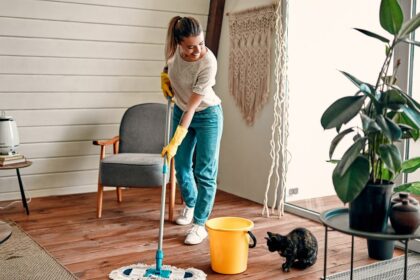 como manter a casa limpa e organizada